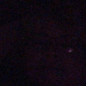 Meet your Posher, Marilyn